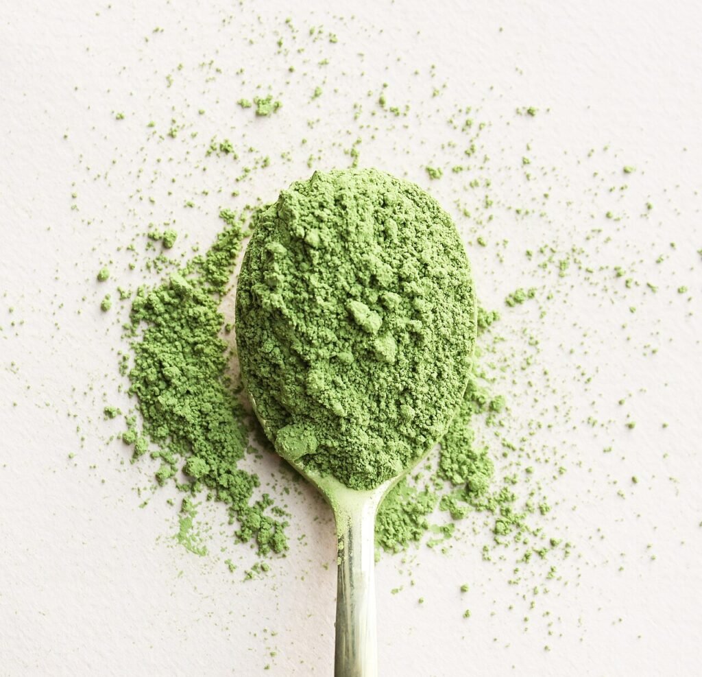Scooping matcha powder for the matcha latte recipe